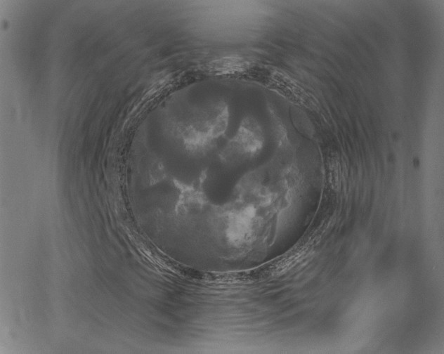 X0000068771393200604281226