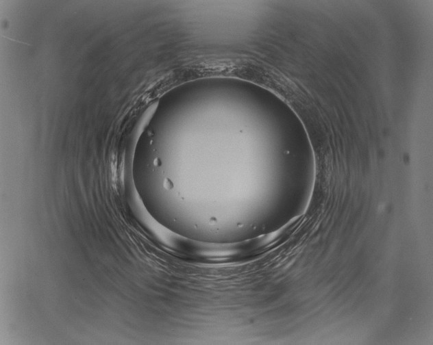 X0000068771394200604281226