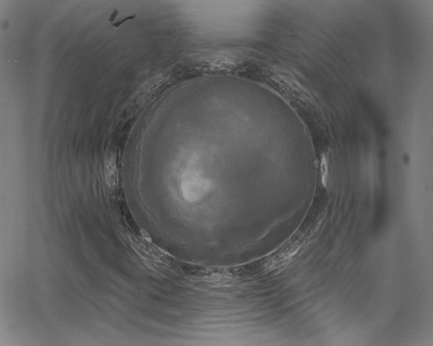 X0000068771395200604281226