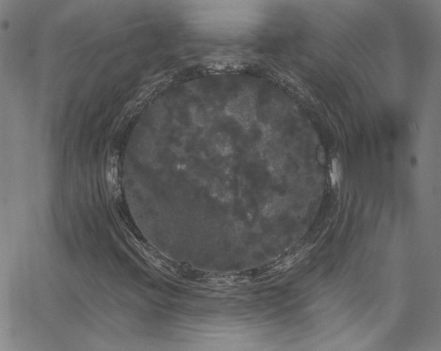 X0000068771396200604281226