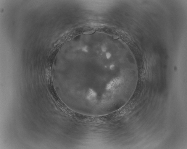 X0000068771397200604281226