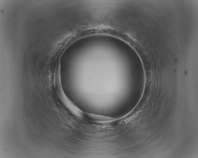 X0000068771398200604281226