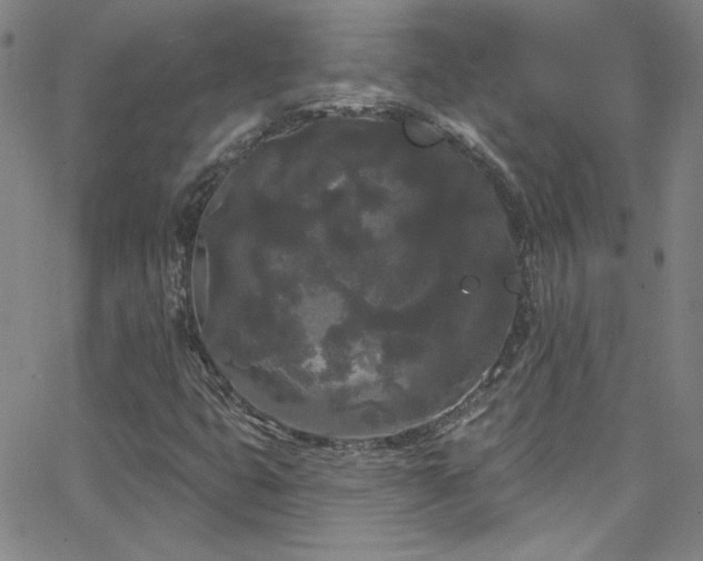 X0000068771399200604281226