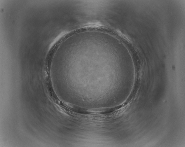 X0000068771400200604281226