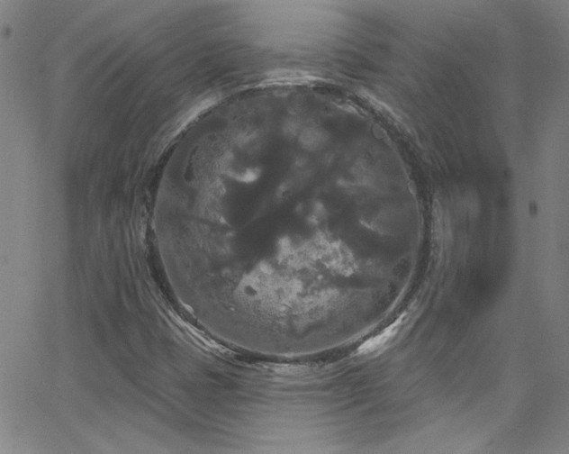 X0000068771401200604281226