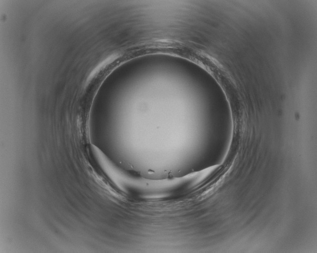 X0000068771402200604281226