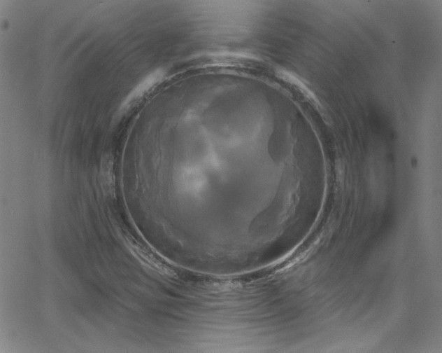 X0000068771403200604281226