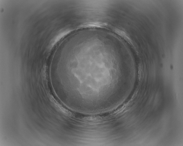 X0000068771404200604281226