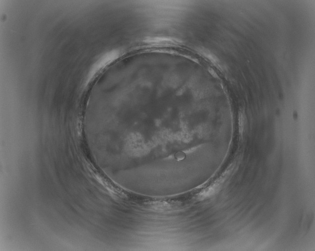 X0000068771405200604281226