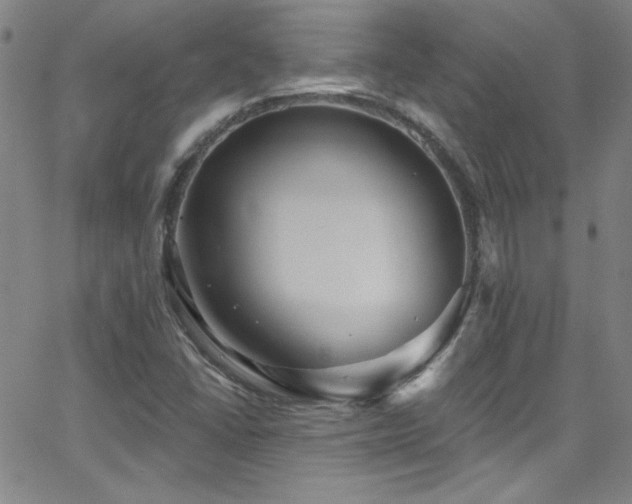 X0000068771406200604281226