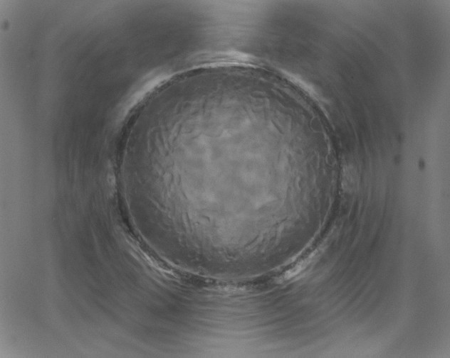 X0000068771407200604281226