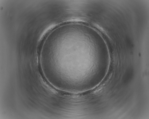 X0000068771408200604281226