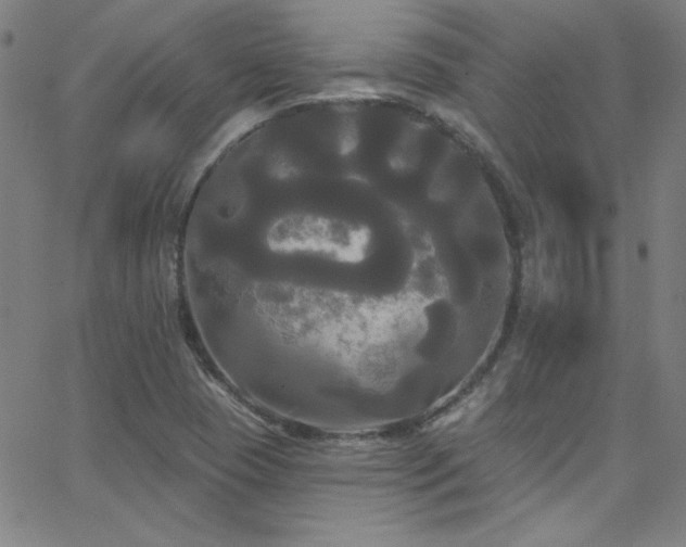 X0000068771409200604281226