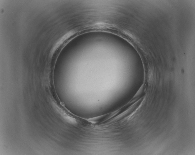 X0000068771410200604281226