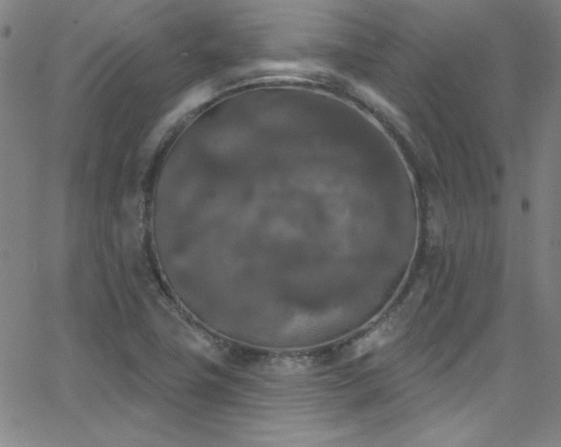 X0000068771411200604281226