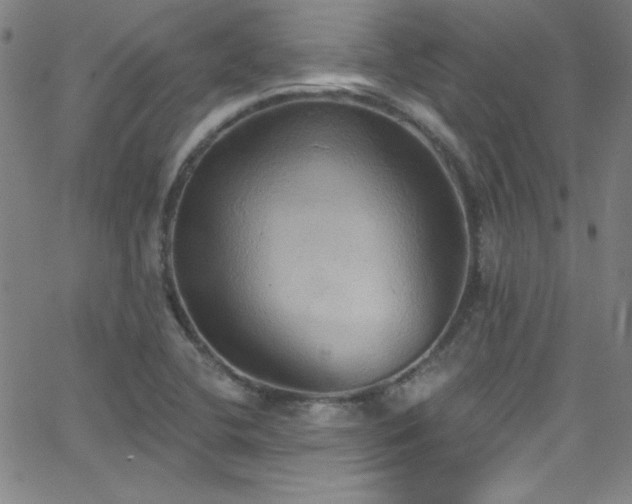 X0000068771412200604281226