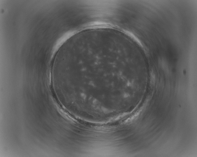 X0000068771413200604281226