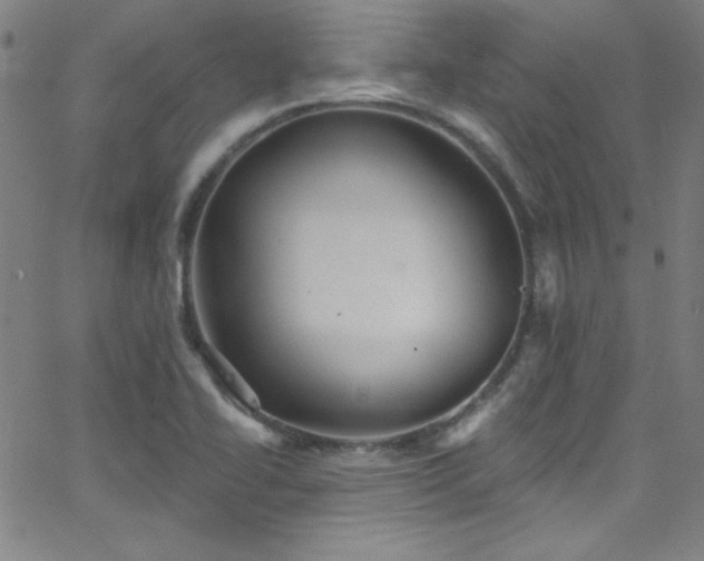 X0000068771414200604281226