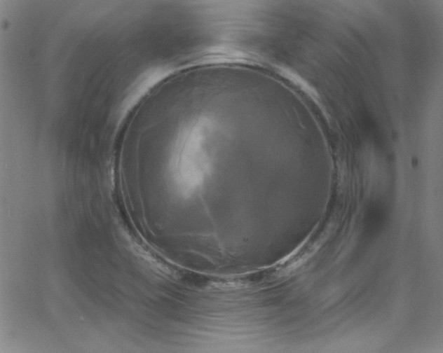 X0000068771415200604281226