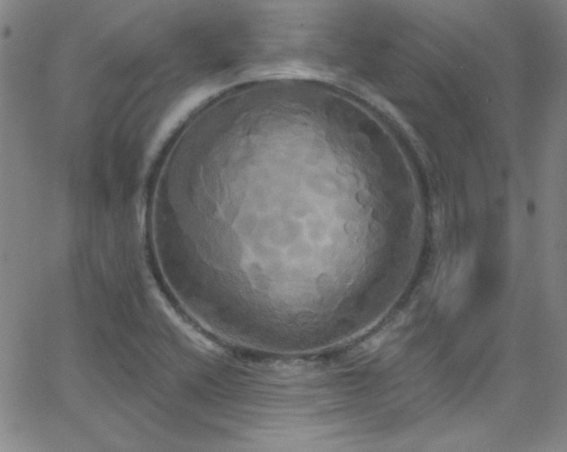 X0000068771416200604281226