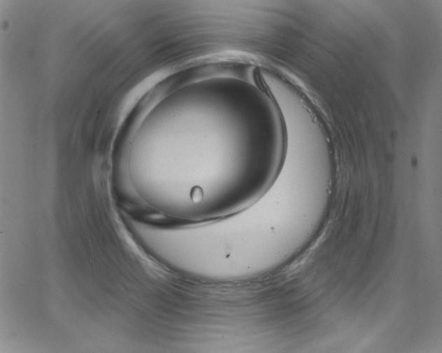 X0000068771418200604281226