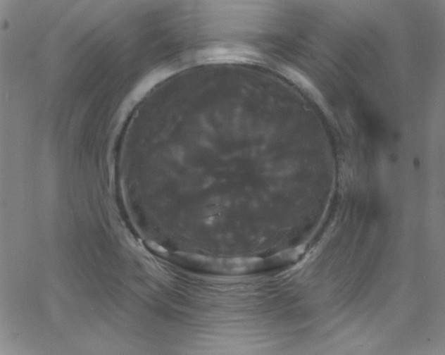 X0000068771419200604281226