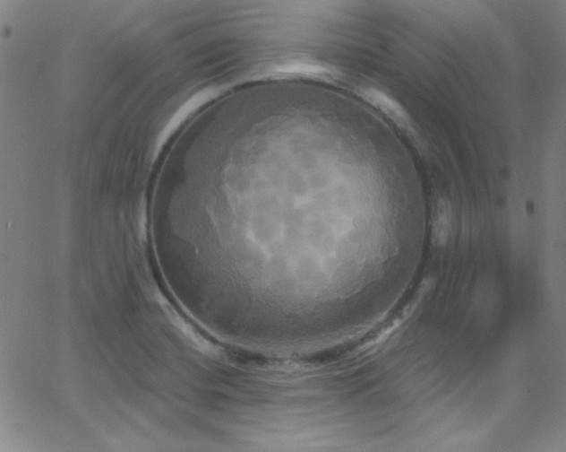 X0000068771420200604281226