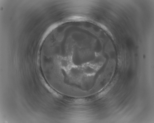 X0000068771421200604281226