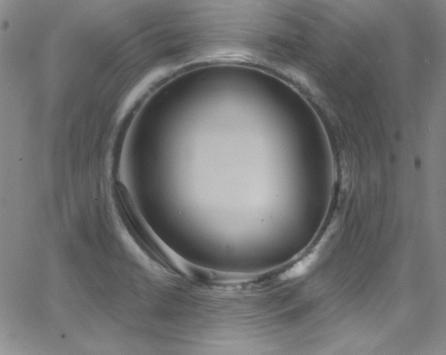 X0000068771422200604281226