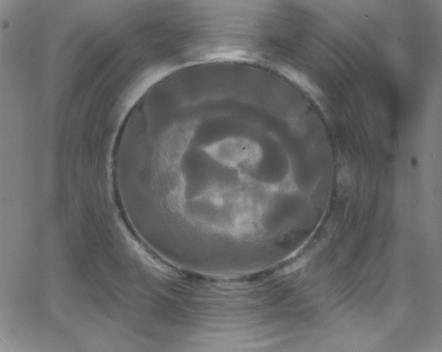 X0000068771423200604281226