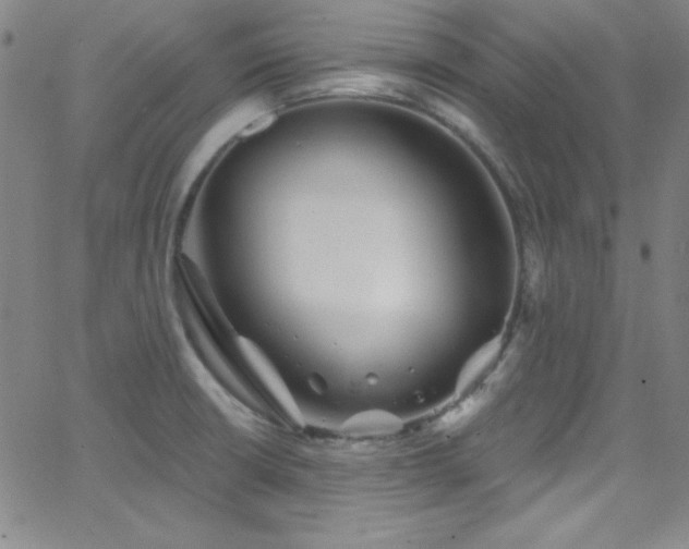 X0000068771426200604281227