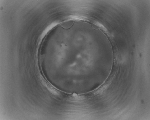 X0000068771427200604281227