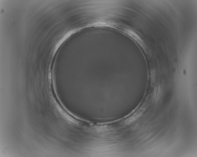 X0000068771428200604281227