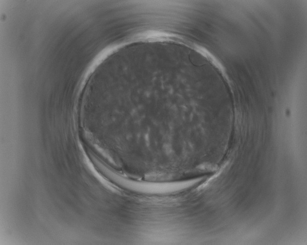 X0000068771429200604281227