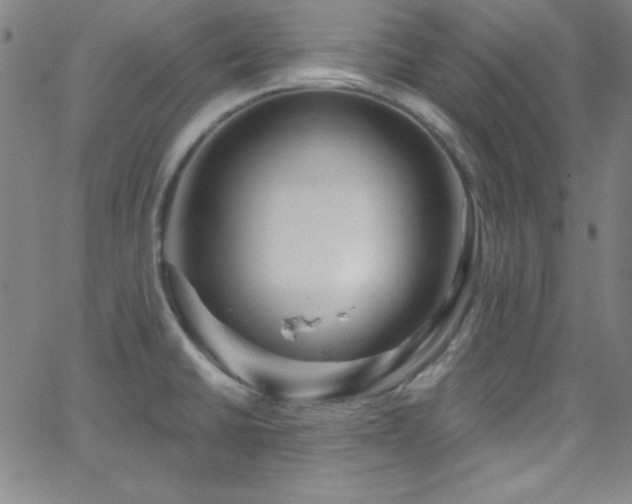 X0000068771430200604281227