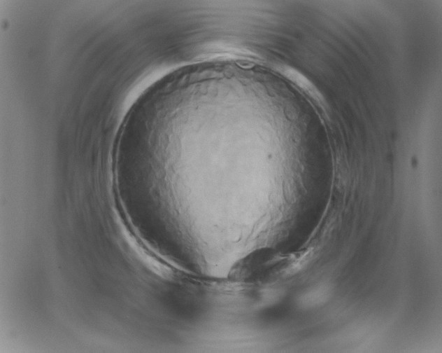 X0000068771431200604281227