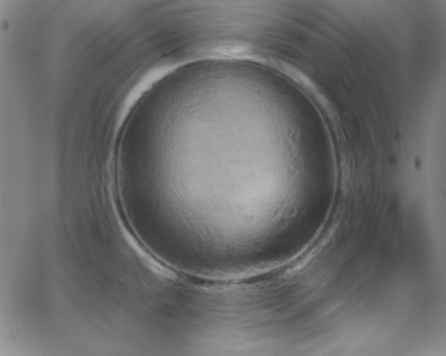 X0000068771432200604281227