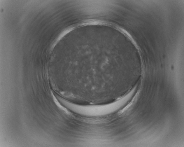 X0000068771433200604281227