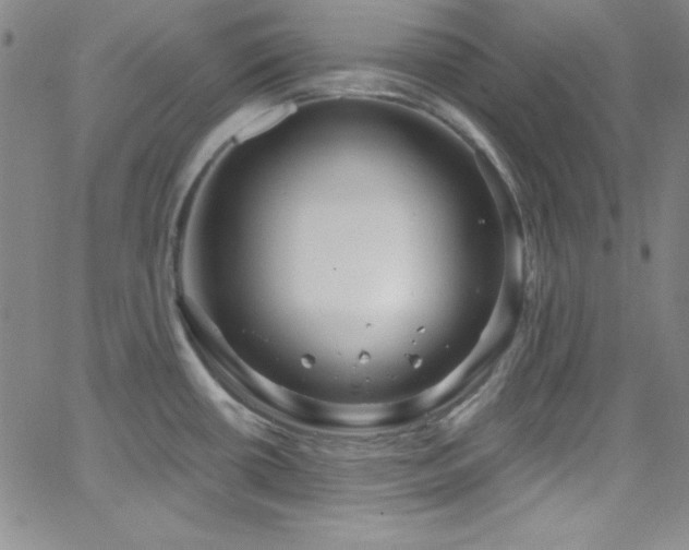 X0000068771434200604281227