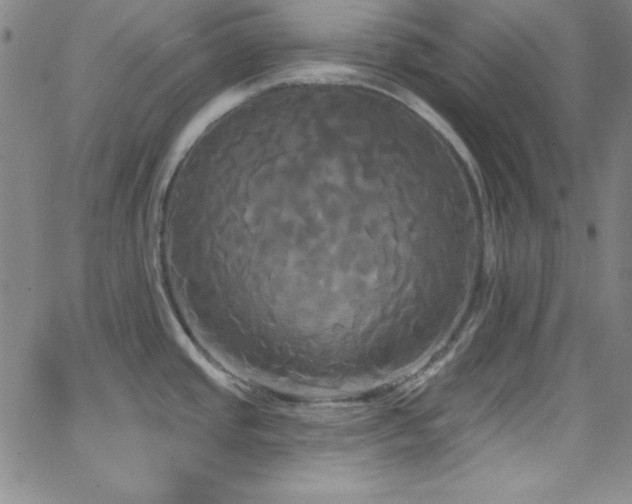 X0000068771437200604281227