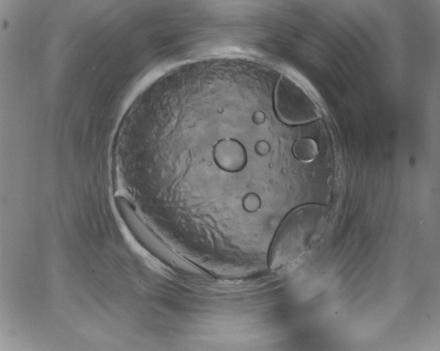 X0000068771439200604281227