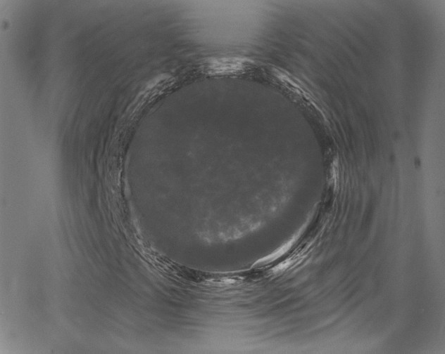 X0000068771441200604281226