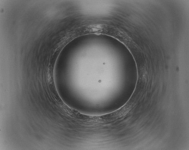 X0000068771442200604281226