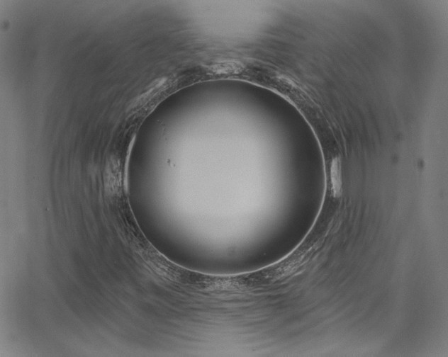 X0000068771443200604281226