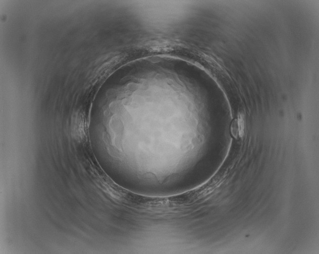 X0000068771444200604281226