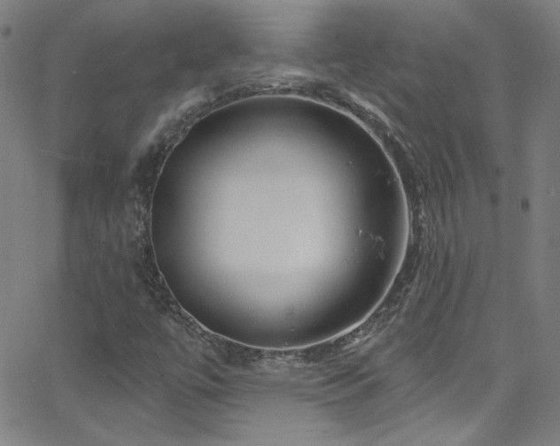 X0000068771447200604281226