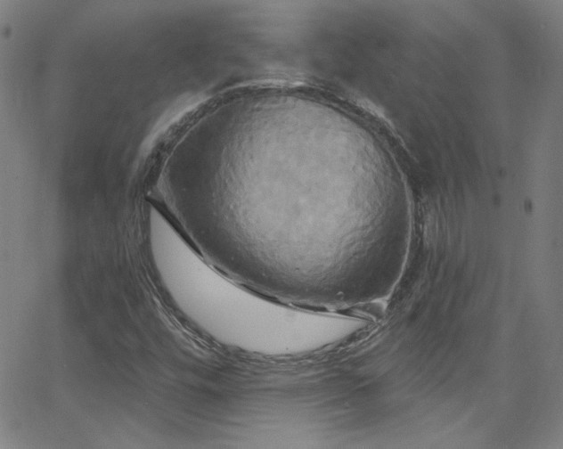 X0000068771448200604281226