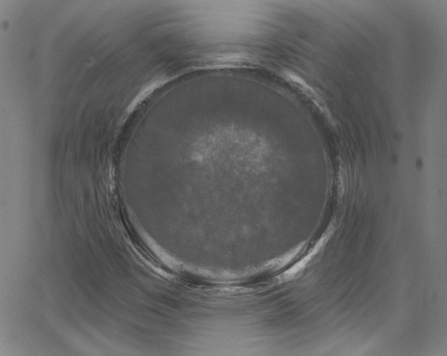 X0000068771449200604281226