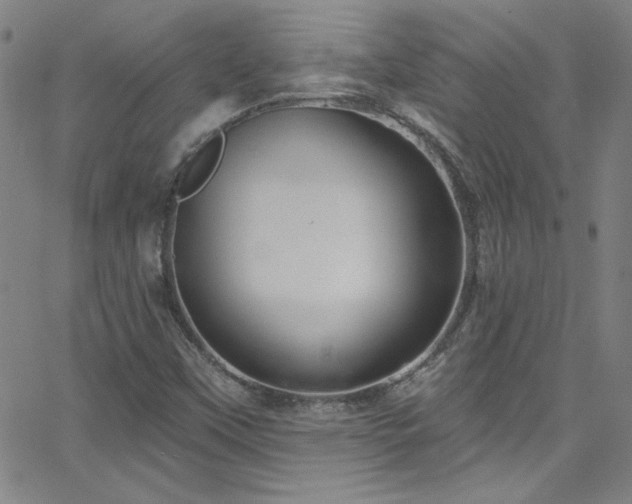 X0000068771451200604281226