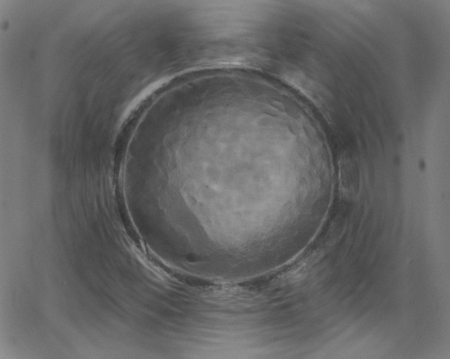 X0000068771452200604281226